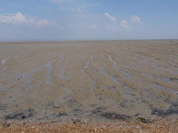 Copy -mudflats at Allhallows